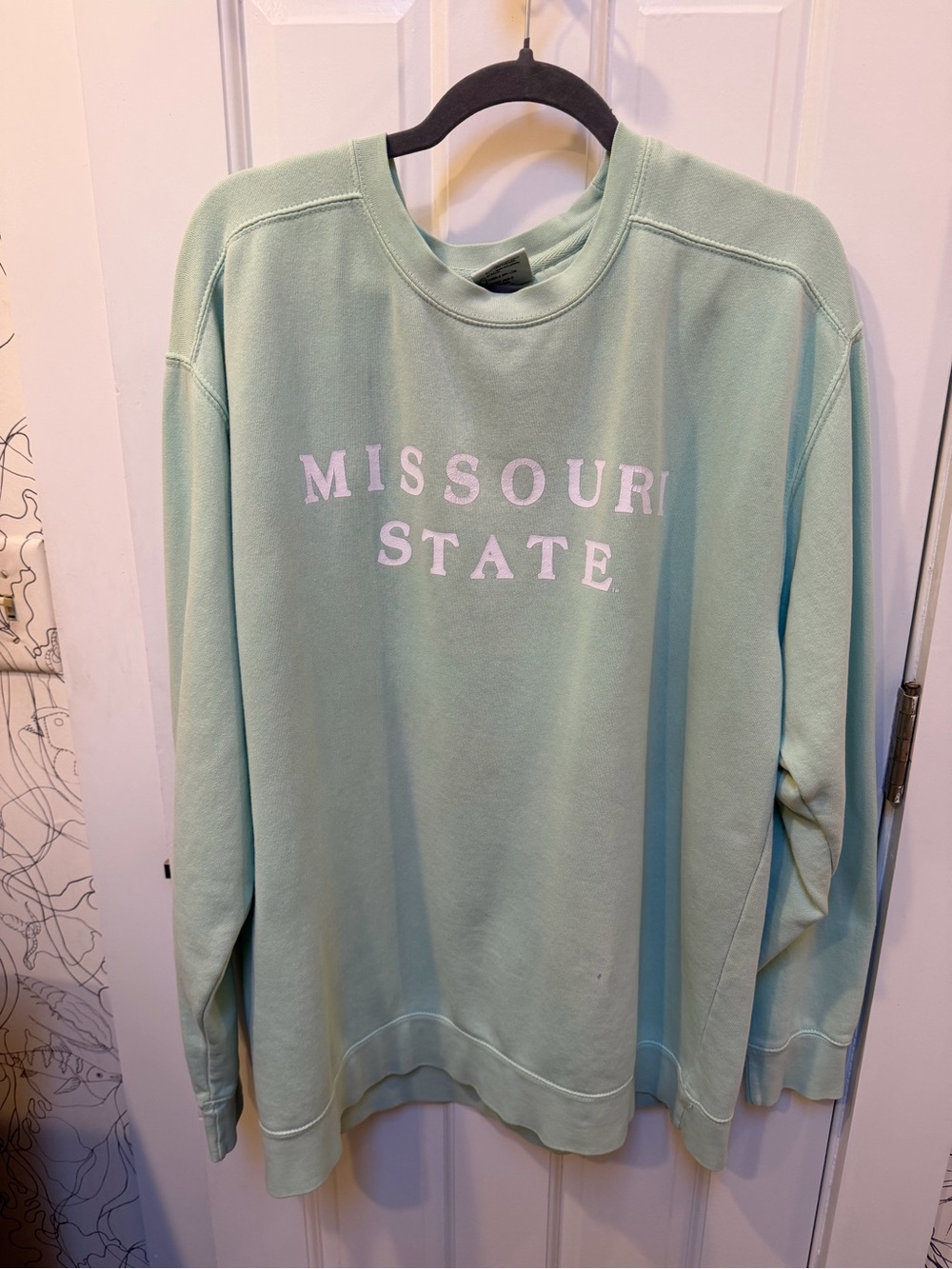 MSU sweatshirt